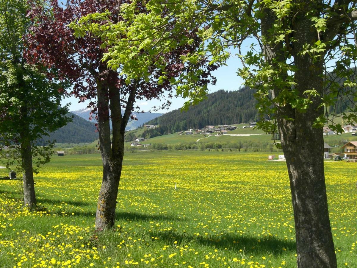 Faltnerhof Planca di Sopra Bagian luar foto